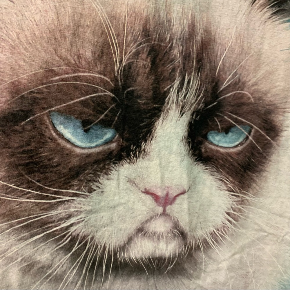 The Mountain T Shirt Grumpy Cat Green Tie Dye Crew Neck Short Sleeve - Picture 2 of 6